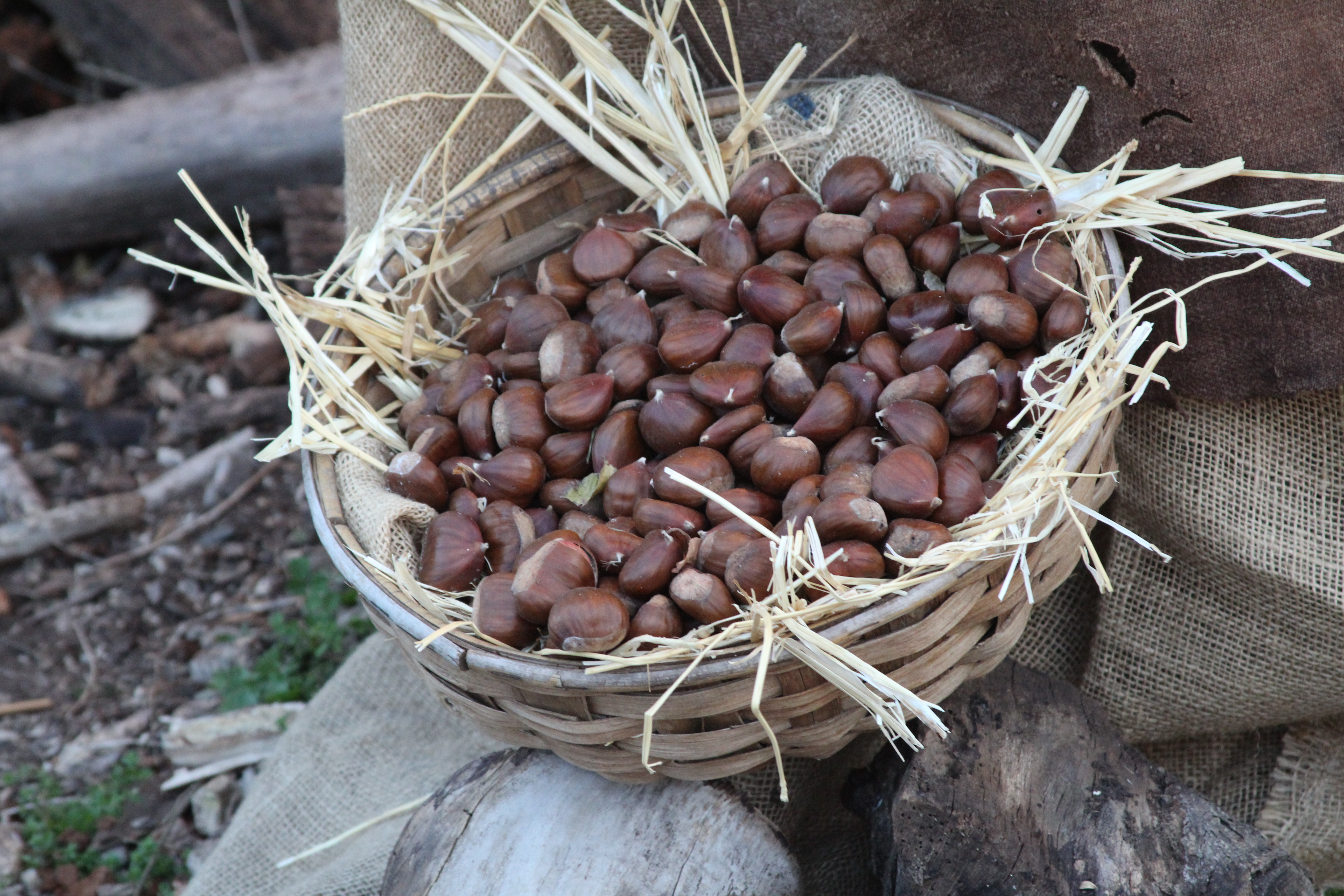 castagne e vino